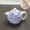 Blue Orchid Creative Ceramic Tea Kettle With Tea Infuser White Tea pot