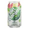 Hansen's Beverages Diet Soda - Ginger Ale - Case of 4 - 6/12 fl oz