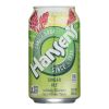 Hansen's Beverages - Soda Nat Ginger Ale - Case of 4-6/12 fl oz.
